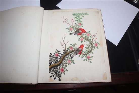 A 19th century Chinese album of 14 paintings on pith paper, birds and figures